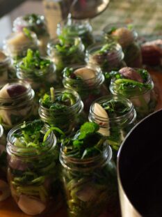 Serie di vasetti di vetro in fase di riempimento con rape e aromi per la produzione di Pestith artigianale