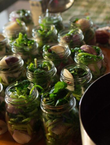 Serie di vasetti di vetro in fase di riempimento con rape e aromi per la produzione di Pestith artigianale