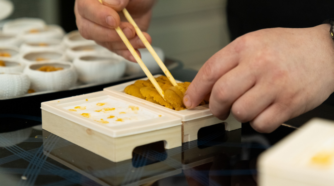 Dettaglio delle mani di uno chef che utilizza bacchette di legno per prelevare delicatamente della polpa di riccio di mare da una scatola tradizionale.