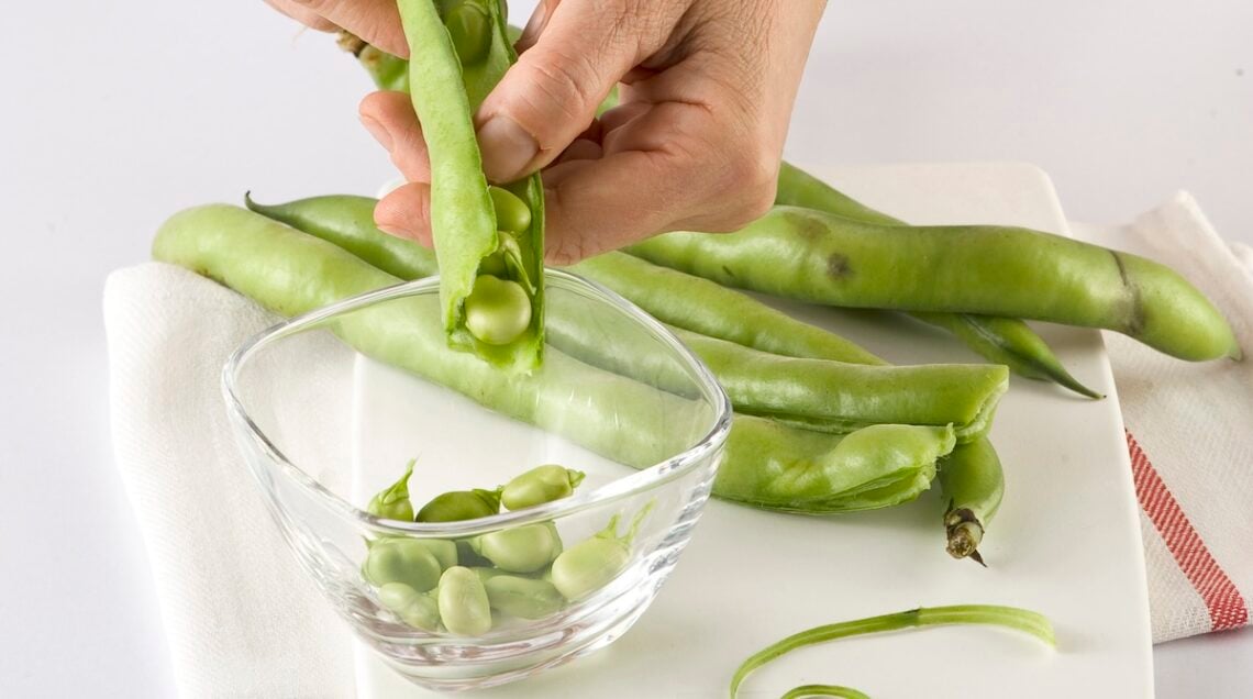 mano che sgrana un baccello di fave