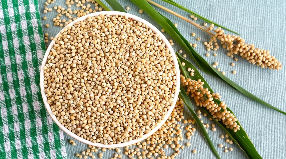 Una ciotola bianca colma di chicchi di sorgo bianco su una tovaglia azzurra, affiancata da spighe di sorgo fresche e un canovaccio a quadretti verdi