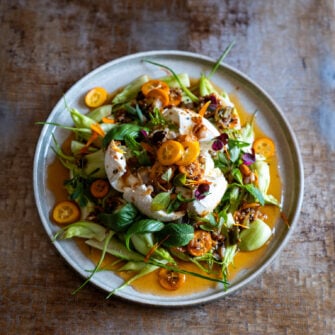 burrata con ortaggi ed erbe aromatiche fresche
