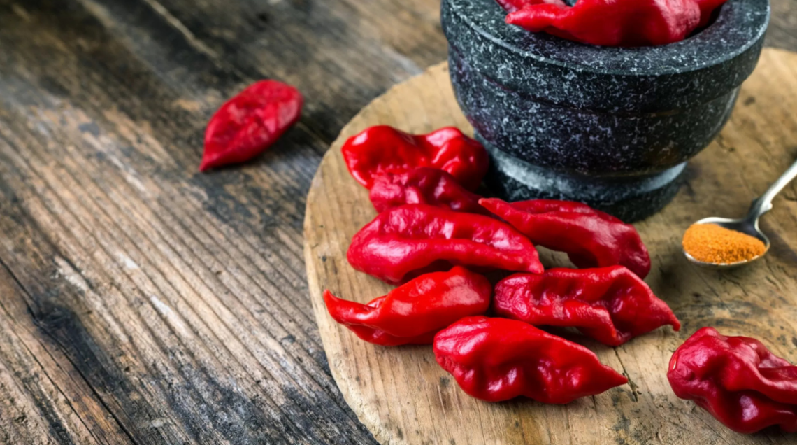 Il piccolo e rosso Bhut Jolokia indiano, tra i peperoncini più piccanti. In primo piano e in una ciotola