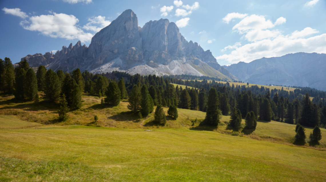 Panorama delle Dolomiti nei pressi di Bressanone con prati verdi e boschi di conifere.