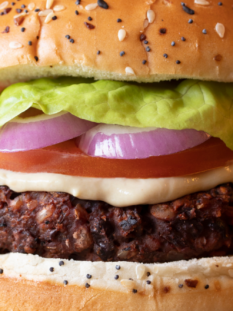 Un hamburger gourmet con maionese, fetta di pomodoro, anelli di cipolla rossa e lattuga in un panino con semi di sesamo e papavero.