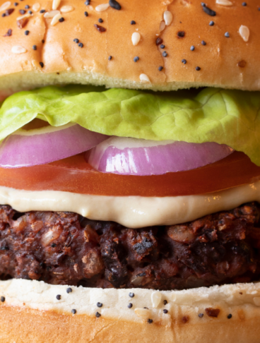 Un hamburger gourmet con maionese, fetta di pomodoro, anelli di cipolla rossa e lattuga in un panino con semi di sesamo e papavero.