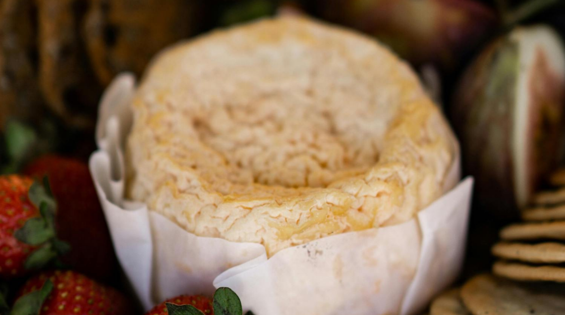 forma di formaggio vegano semistagionato