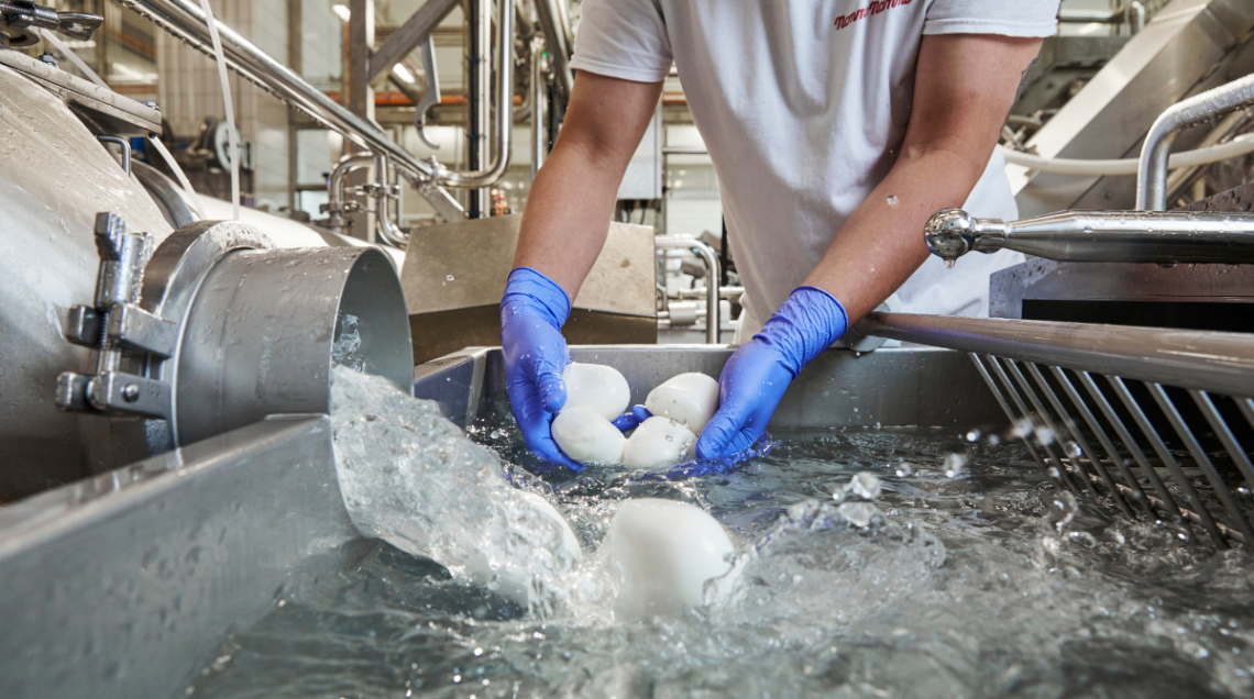 Produzione artigianale di mozzarelle in acqua all'interno di una vasca d'acciaio inox.