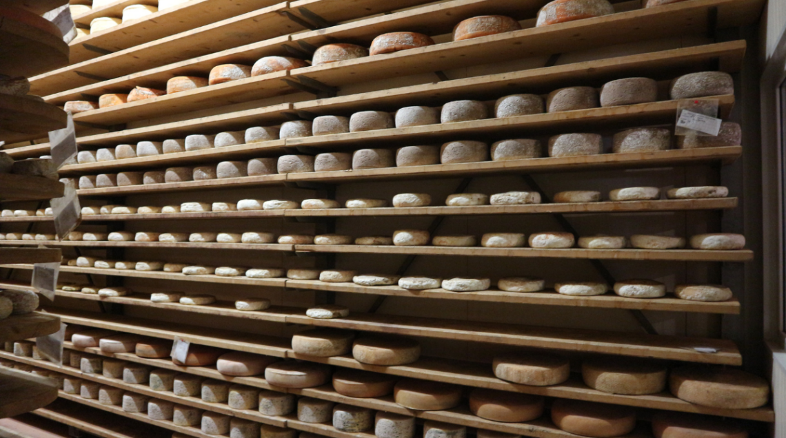 Forme di formaggio Castelmagno DOP disposte su scaffali di legno per la stagionatura. 
