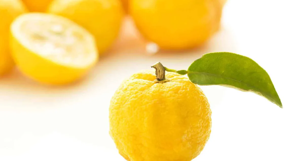 Frutti di yuzu interi e uno tagliato a metà su sfondo bianco luminoso; in primo piano un frutto giallo con buccia irregolare e una foglia verde attaccata al picciolo.