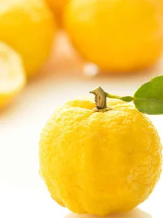Frutti di yuzu interi e uno tagliato a metà su sfondo bianco luminoso; in primo piano un frutto giallo con buccia irregolare e una foglia verde attaccata al picciolo.