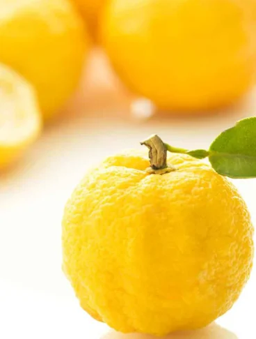 Frutti di yuzu interi e uno tagliato a metà su sfondo bianco luminoso; in primo piano un frutto giallo con buccia irregolare e una foglia verde attaccata al picciolo.