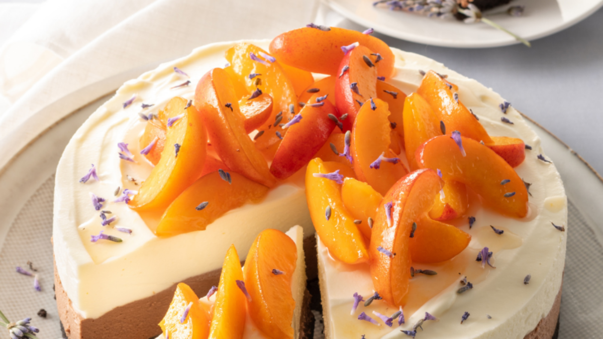 Cheesecake al doppio cioccolato con albicocche e caramelle