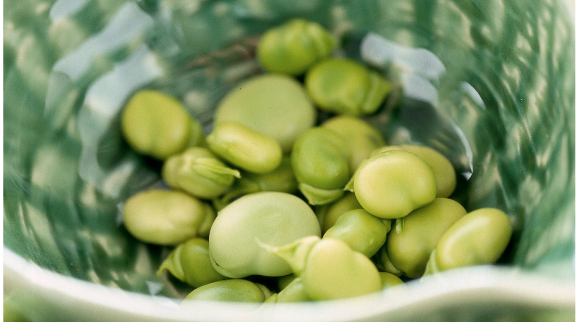 Tante fave fresche sgusciate in una ciotola colorata di verde all'interno