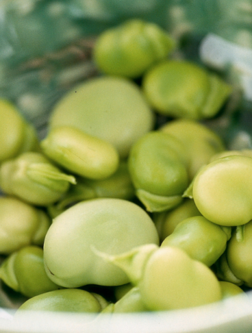Tante fave fresche sgusciate in una ciotola colorata di verde all'interno