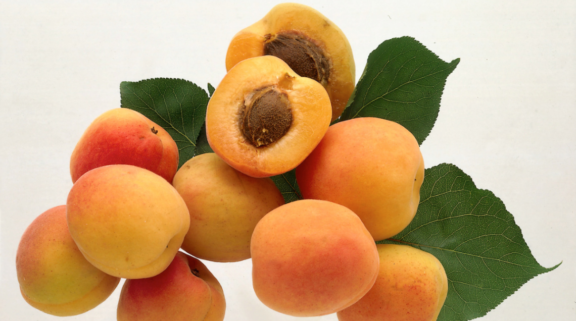 armelline nel nocciolo delle albicocche