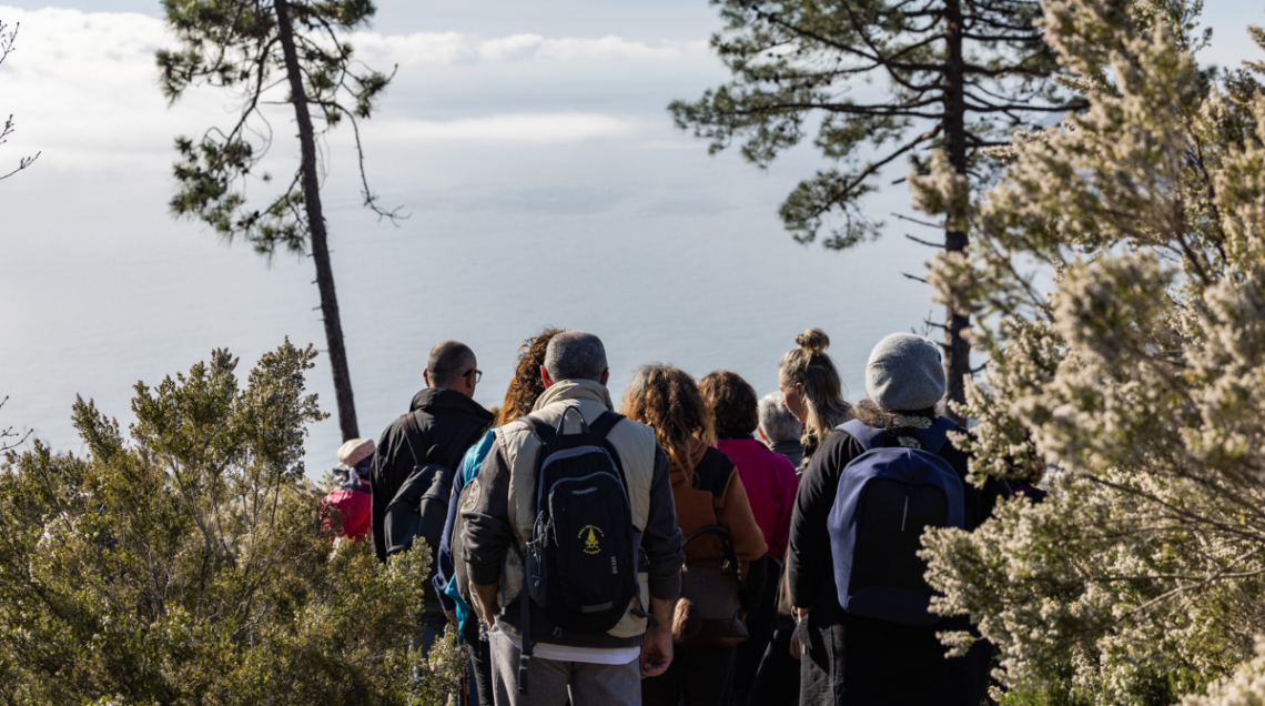 Gruppo di escursionisti con zaini di spalle che percorre un sentiero naturalistico nel Ponente ligure, circondato da vegetazione spontanea della macchia mediterranea e pini, con vista sul mare sfocato sullo sfondo.