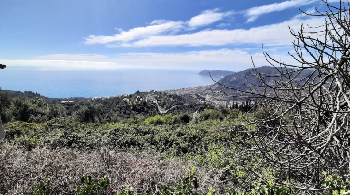 Ampia veduta panoramica dall'alto della costa del Ponente ligure sotto un cielo azzurro con nuvole bianche. In primo piano arbusti e alberi spogli, seguiti da colline verdi digradanti verso il mare e un centro abitato sulla costa.