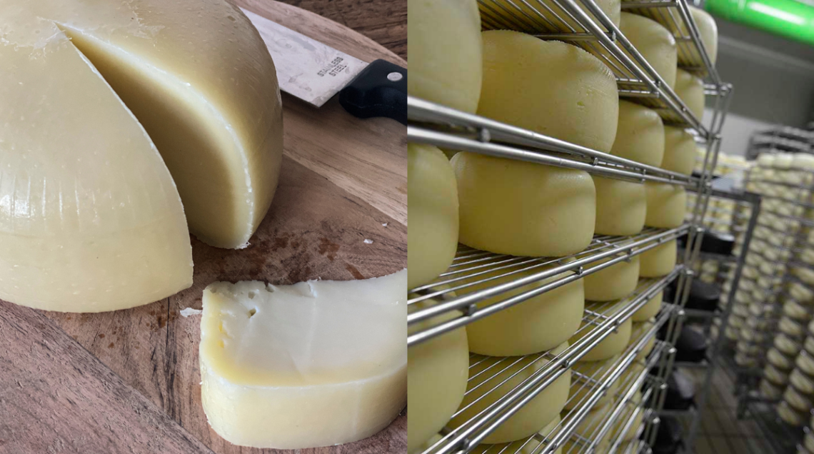produzione della caciotta e stagionatura