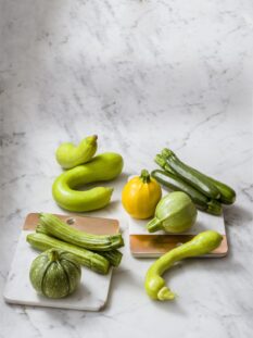 Diverse tipologie di zucchine di vari colori, forme e dimensioni