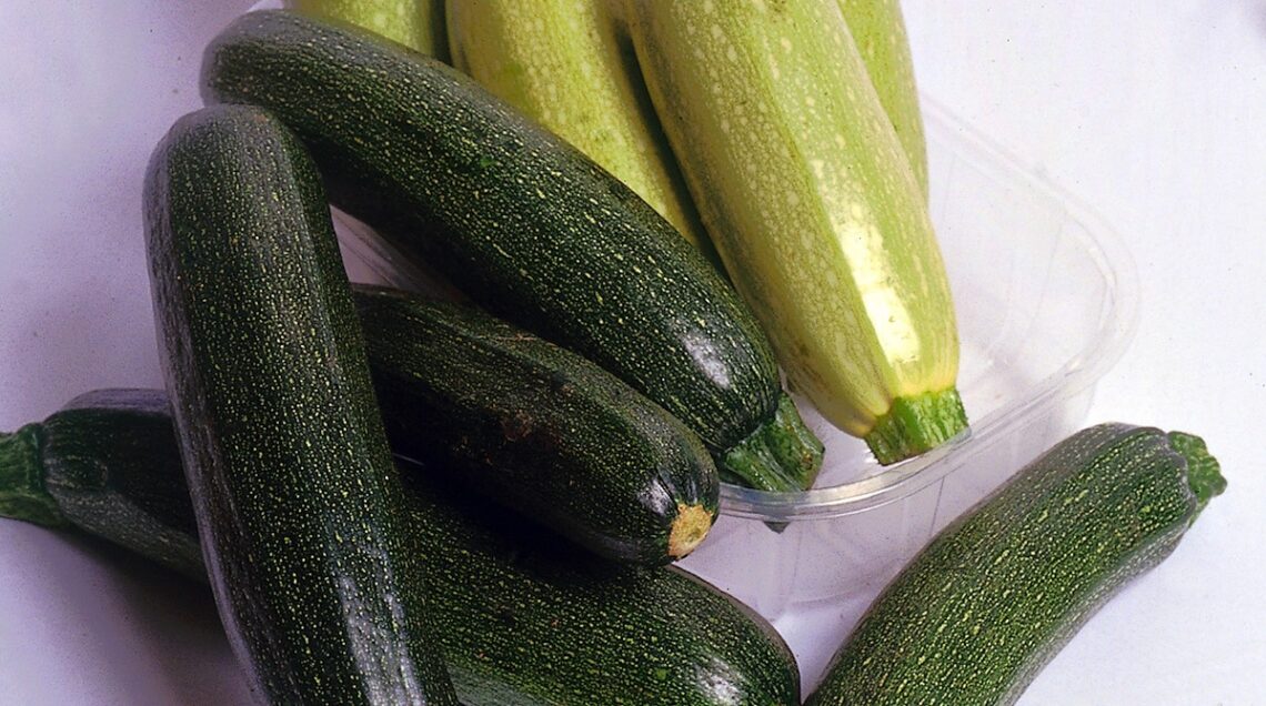 zucchine verde scuro e verde chiaro