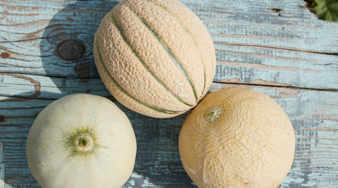 tre tipologie di melone rappresentate su uno sfondo neutro