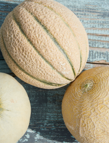 tre tipologie di melone rappresentate su uno sfondo neutro