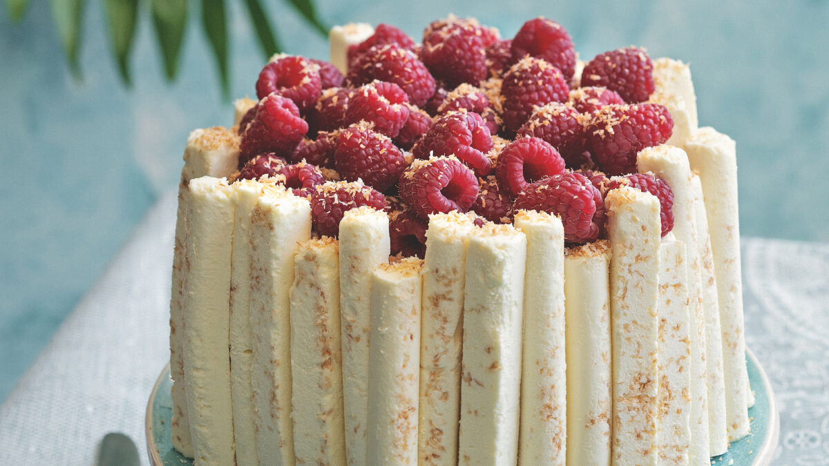 Torta bavarese ai lamponi, arancia e cilindri al cocco