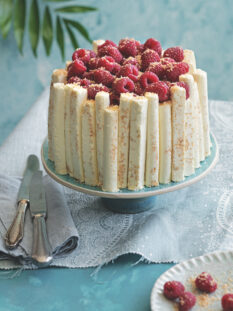 Semifreddo all'arancia e lamponi "sigari" al cocco