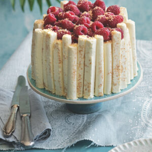 Semifreddo all'arancia e lamponi "sigari" al cocco