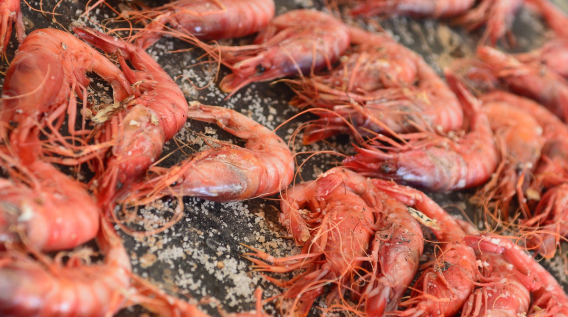 Gamberi bianchi di Huelva cotti alla piastra e conditi con granelli di sale grosso