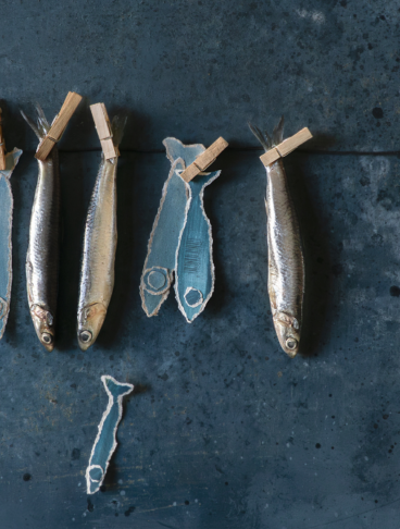 Acciughe fresche e sagome di pesce azzurre appese con mollette da bucato in legno a un filo, disposte su uno sfondo materico blu scuro.