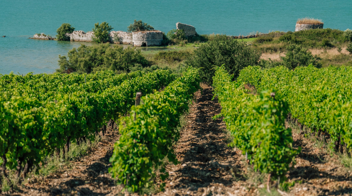 Vigneti rigogliosi in primo piano e i resti in pietra dell'antico fortilizio arabo di Mazzallakkar in riva al lago Arancio.