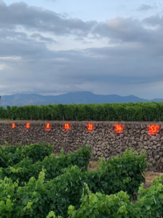 Inquadratura orizzontale ravvicinata della successione numerica a neon di Mario Merz sul muretto di pietra lavica sul vulcano.