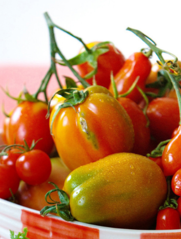 pomodori misti in una insalatiera