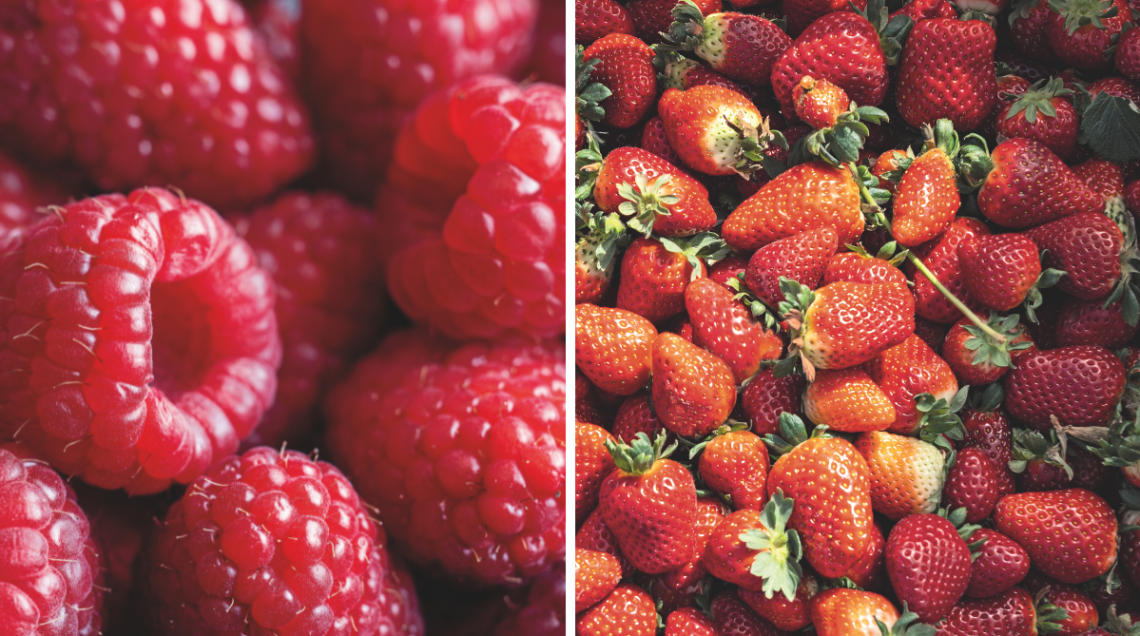 lamponi e fragole Franui