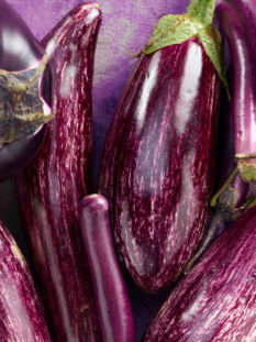Diverse varietà di melanzane sono disposte in maniera casuale su sfondo viola