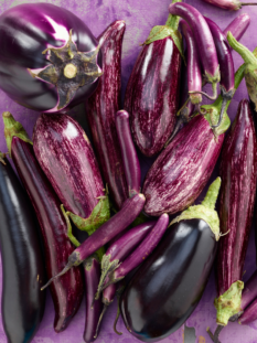 Diverse varietà di melanzane sono disposte in maniera casuale su sfondo viola