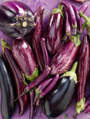 Diverse varietà di melanzane sono disposte in maniera casuale su sfondo viola