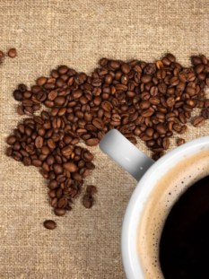Una cartina, rappresentante diversi stati, fatta con chicchi di caffè. Affianco una tazza con del caffè