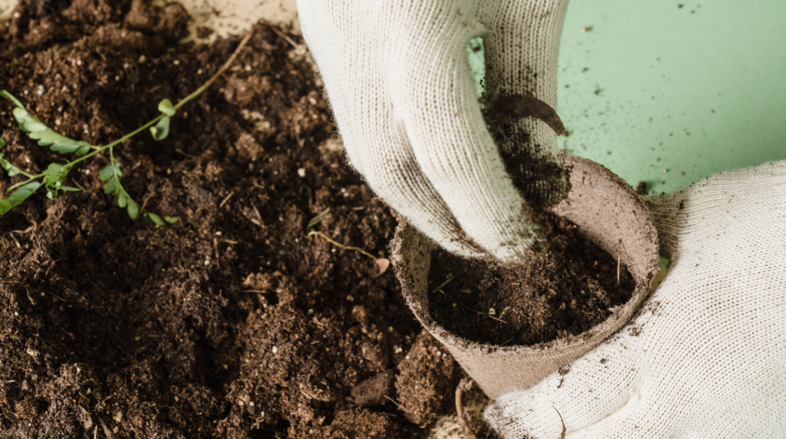 Due mani con guanti da giardinaggio tengono un vasetto mentre lo riempono di terra.