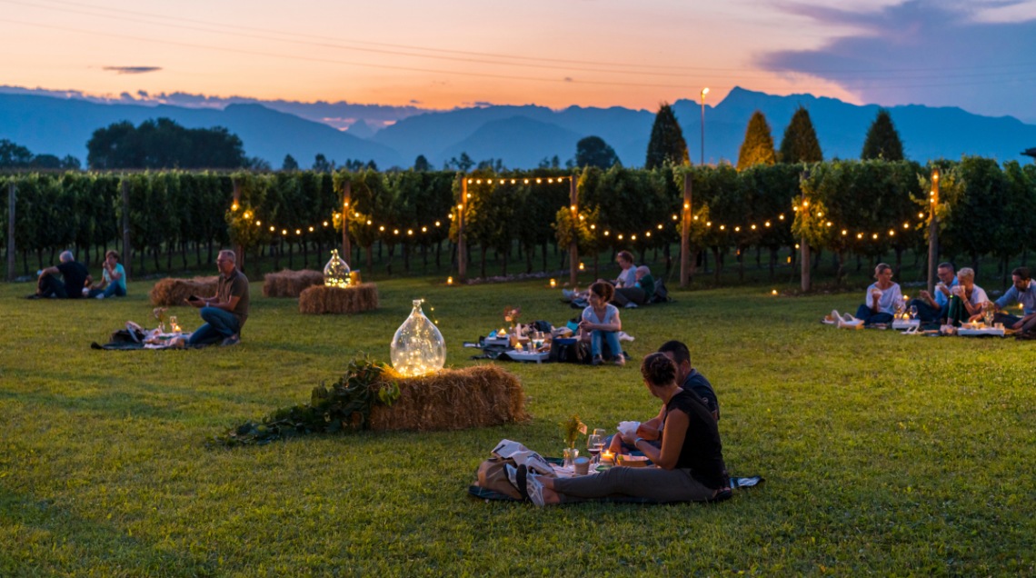 Persone che fanno un picnic serale in un vigneto illuminato da file di luci calde al tramonto, con montagne sullo sfondo. 
