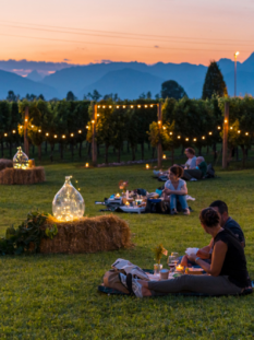 Persone che fanno un picnic serale in un vigneto illuminato da file di luci calde al tramonto, con montagne sullo sfondo. 