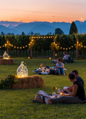 Persone che fanno un picnic serale in un vigneto illuminato da file di luci calde al tramonto, con montagne sullo sfondo. 