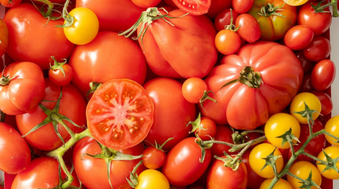 pomodori misti, rossi e gialli