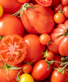 pomodori misti, rossi e gialli