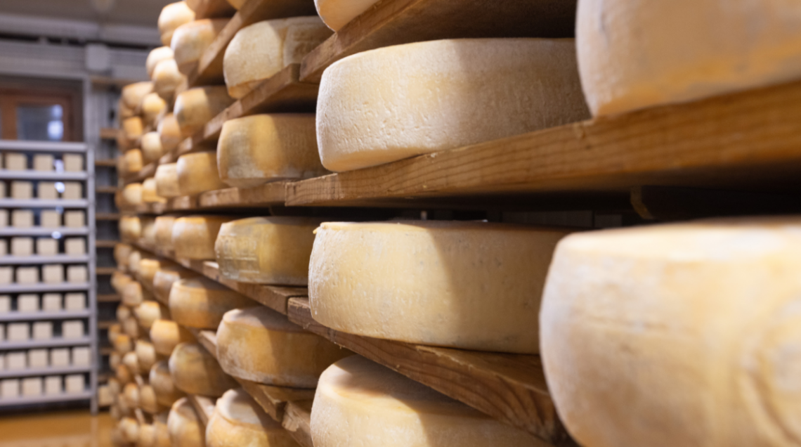 Tanti formaggi Latteria su scaffali a stagionare