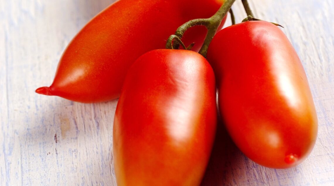 san marzano