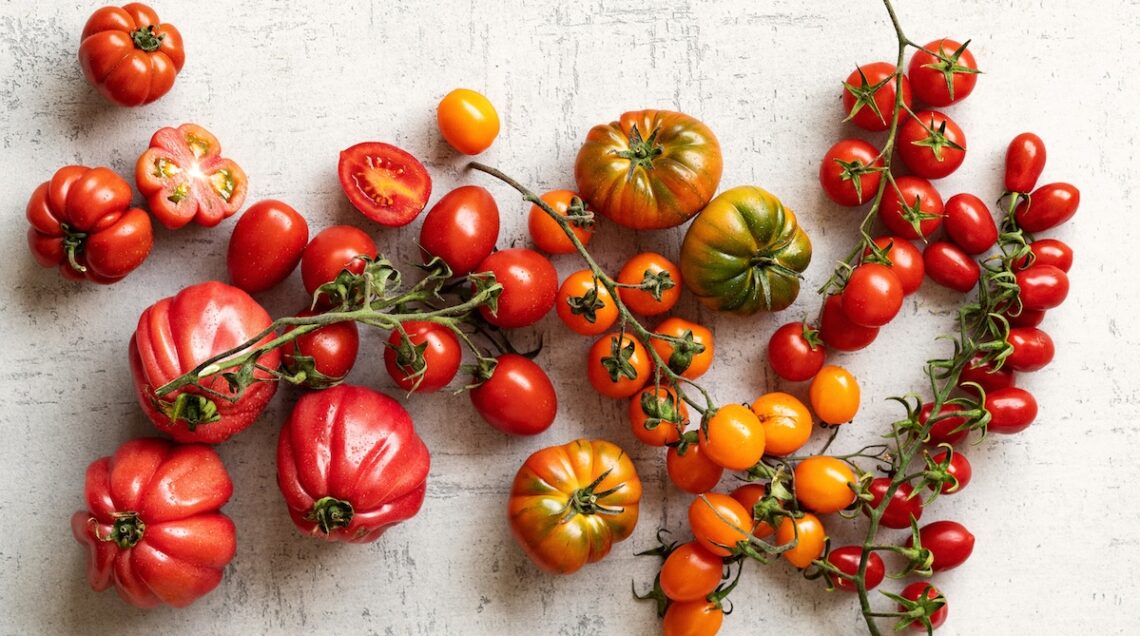 pomodori di diverse varietà