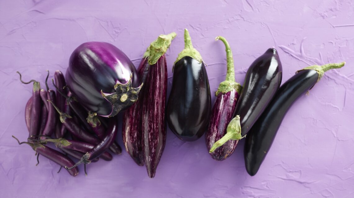 melanzane tonde e allungate, viola e violette